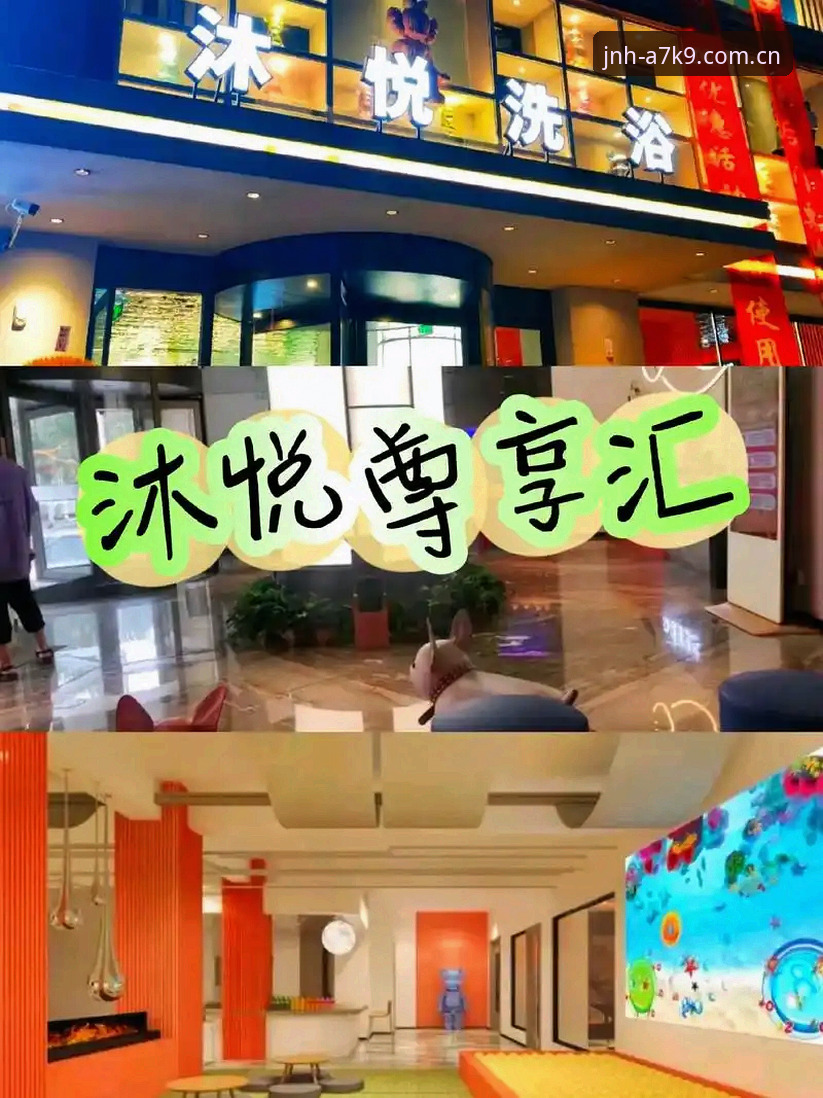 金年汇安卓版安装与使用教程：尊享服务体验全解析